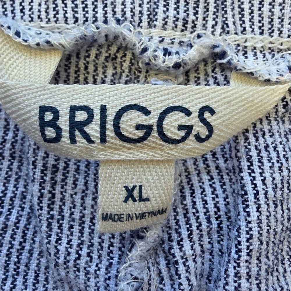 Briggs Womens XL Blue White Striped Linen Blend Elastic Waist Shorts - Picture 3 of 7